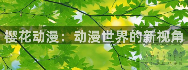 正版囧次元：樱花动漫：动漫世界的新视角
