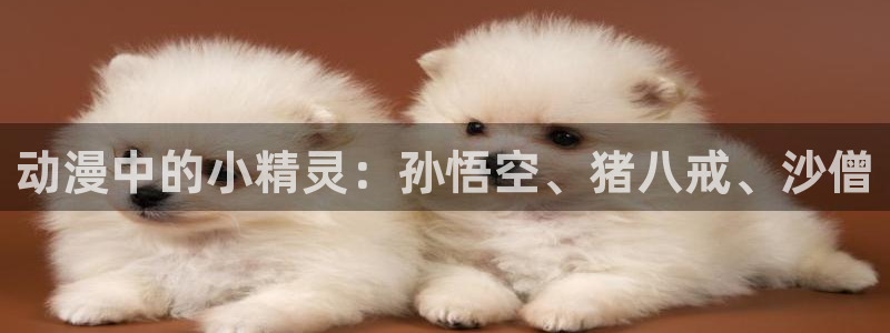 囧次元app最新版：动漫中的小精灵：孙悟空、猪八戒、沙僧