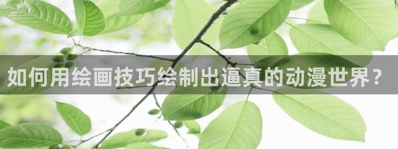 囧次元官方正版：如何用绘画技巧绘制出逼真的动漫世界？