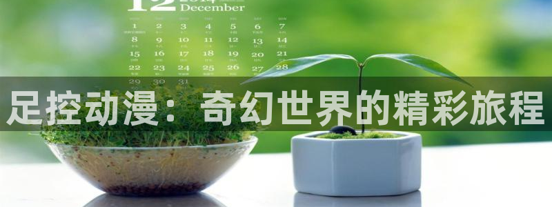 囧次元无：足控动漫：奇幻世界的精彩旅程