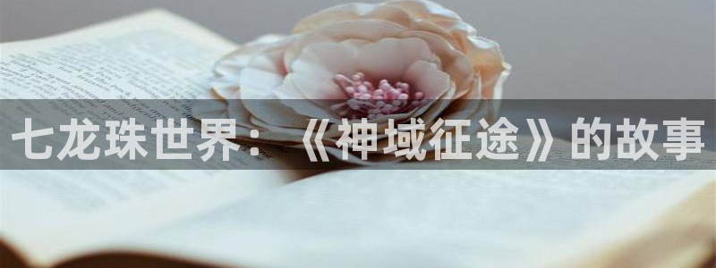 囧次元官方正版：七龙珠世界：《神域征途》的故事