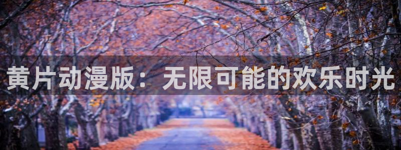 囧次元是什么：黄片动漫版：无限可能的欢乐时光