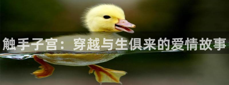 囧次元最新版下载：触手子宫：穿越与生俱来的爱情故事